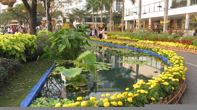 Phú Mỹ Hưng bừng sáng với hội hoa xuân - ảnh 7
